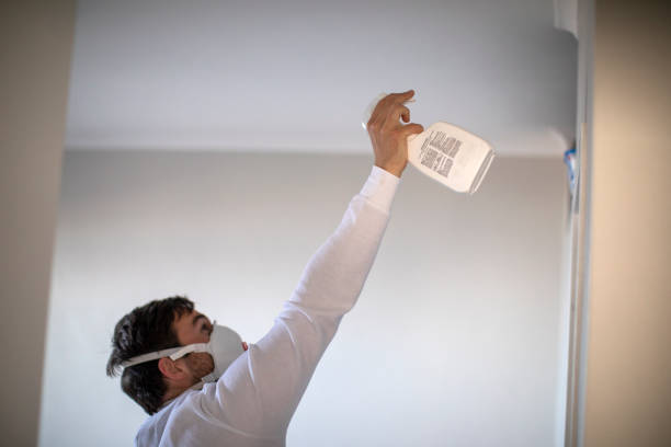 Best Professional Mold Removal  in Dickinson, ND