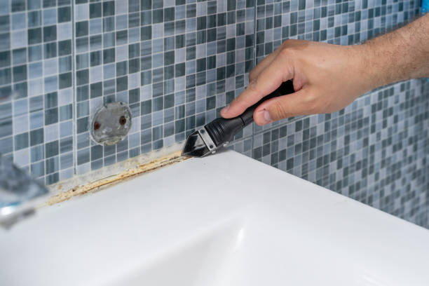 Best Black Mold Removal  in Dickinson, ND